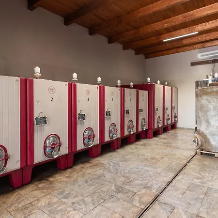 Carola By Interhome 신기아노