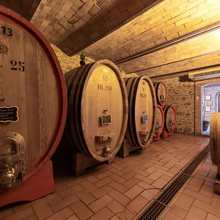 Carola By Interhome *