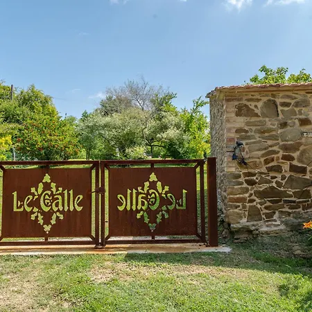 펜션 Carola By Interhome 신기아노