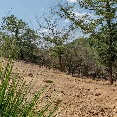 Carola By Interhome 펜션 *